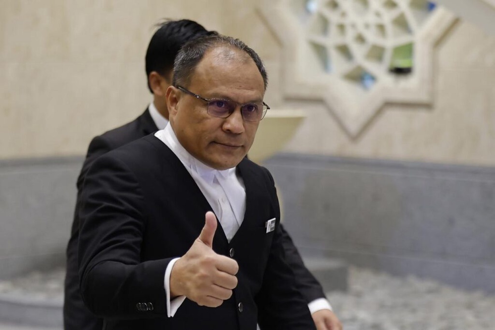 Image from: A house divided: The Najib Razak pardon – Terence Fernandez 