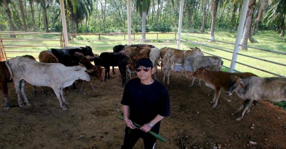 Image from: 'Malam raya pun lori masuk lagi!' – Jamal Abdillah tak menang tangan, bekal hampir 300 lembu korban, akui menyanyi kerjaya sebenar