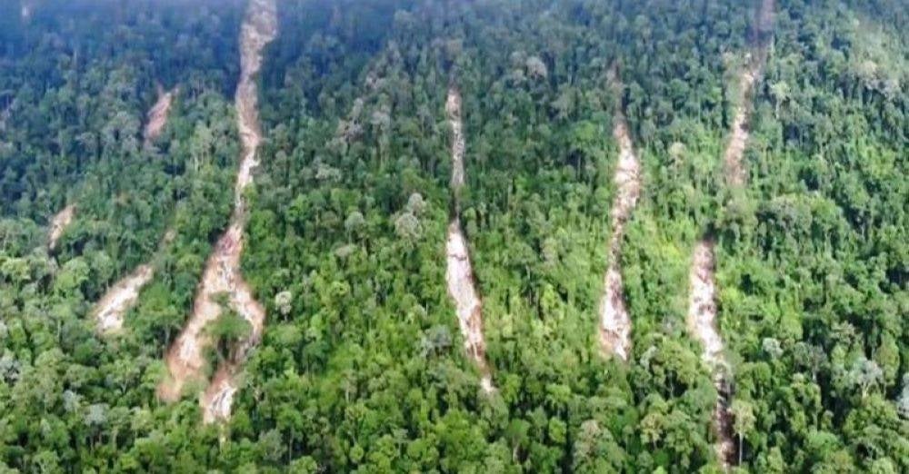 Image from: Sayup suara minta tolong bongkar pendaki hilang 3 hari jatuh gaung Gunung Jerai, rupanya mendaki sendirian. Ini kronologi