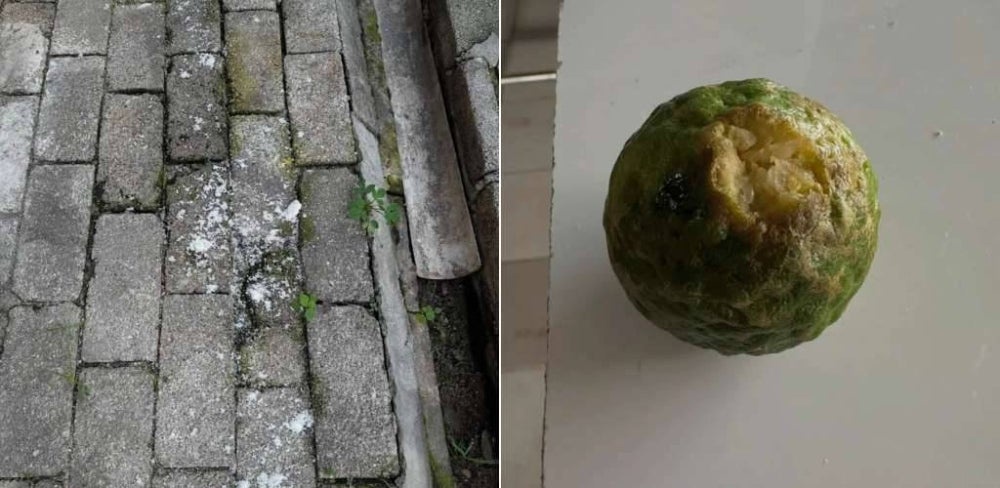 Image from: Plot twist betul! Pencuri pecah masuk dua kali premis Fazren Rafi, siap tinggal limau purut, garam – 'Kena santet ke ni?'