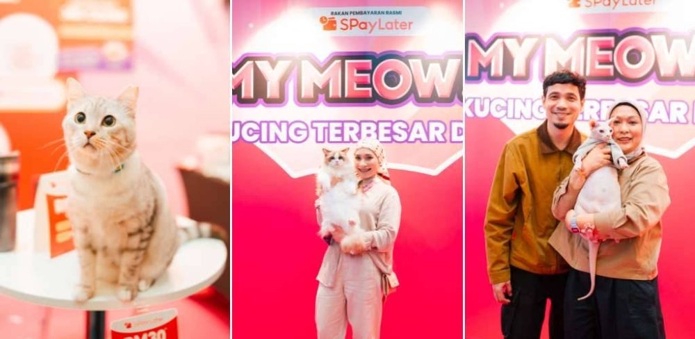 Image from: Bukan sekadar ekspo kucing, acara ini satukan pencinta si bulus, angkat kesedaran pemilikan haiwan bertanggungjawab