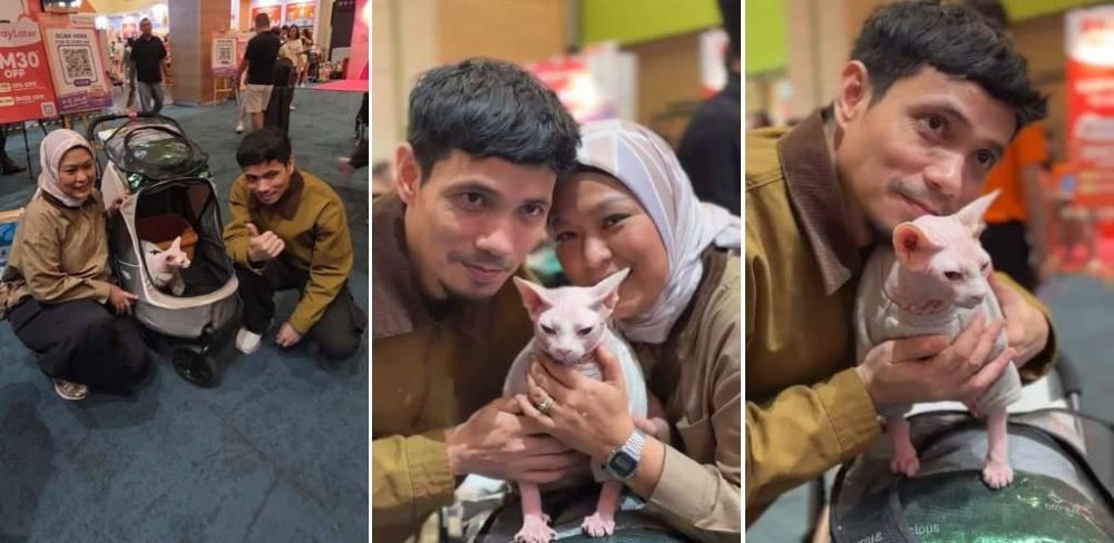 Image from: 'Dulu tak suka, sekarang macam anak...' - Mark Adam dedah kisah jaga 18 kucing, siap nama Melayu & bilik aircond, TV