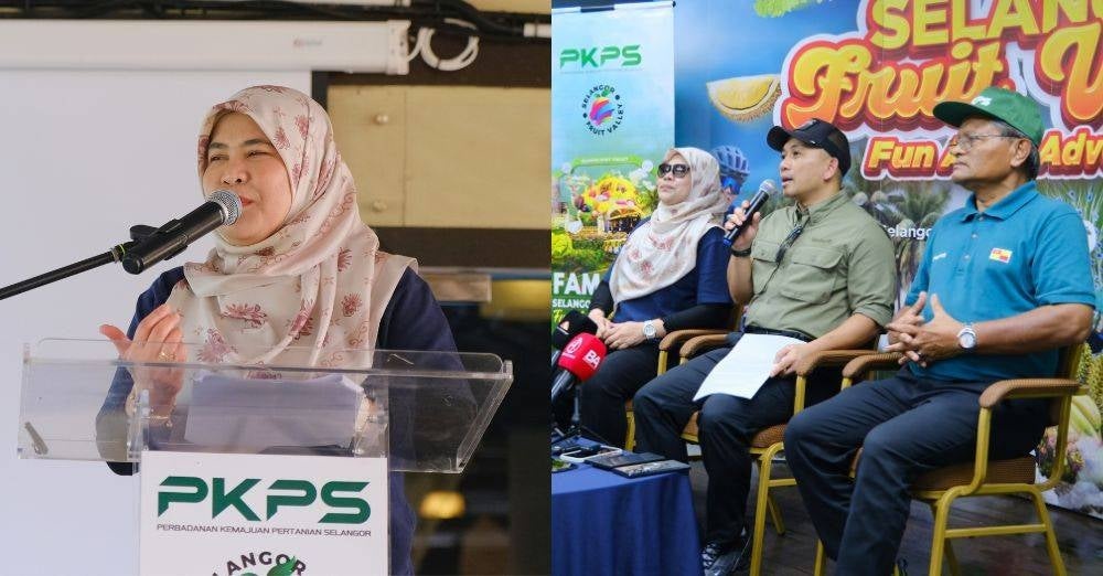 Image from: Harga murah, keriangan maksimum! Selangor Fruit Valley 1,000 hektar syurga buah, destinasi agropelancongan wajib anda terokai!