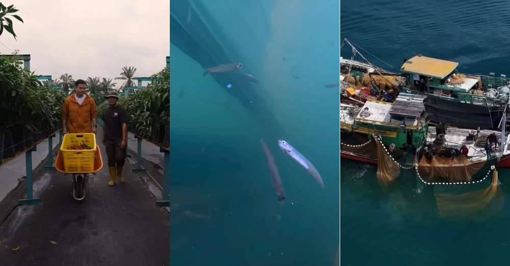 Image from: Khairul Aming bakal lancar Sambal Nyet Bilis, sanggup turun ke laut demi hasil terbaik - 'Dibuat anak tempatan untuk dinikmati satu dunia'