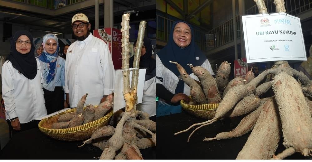 Image from: Wanita dekati teknologi nuklear, ubi kayu jadi tumpuan Program Advokasi Nuklear