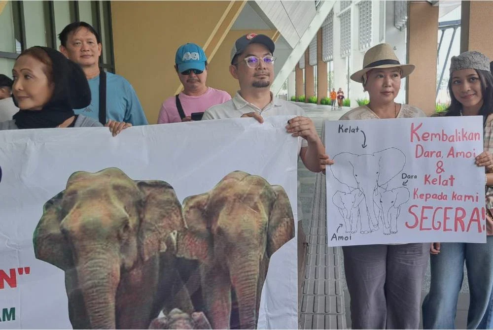 Image from: Tempoh tiga hari bawa pulang Dara, Amoi, Kelat
