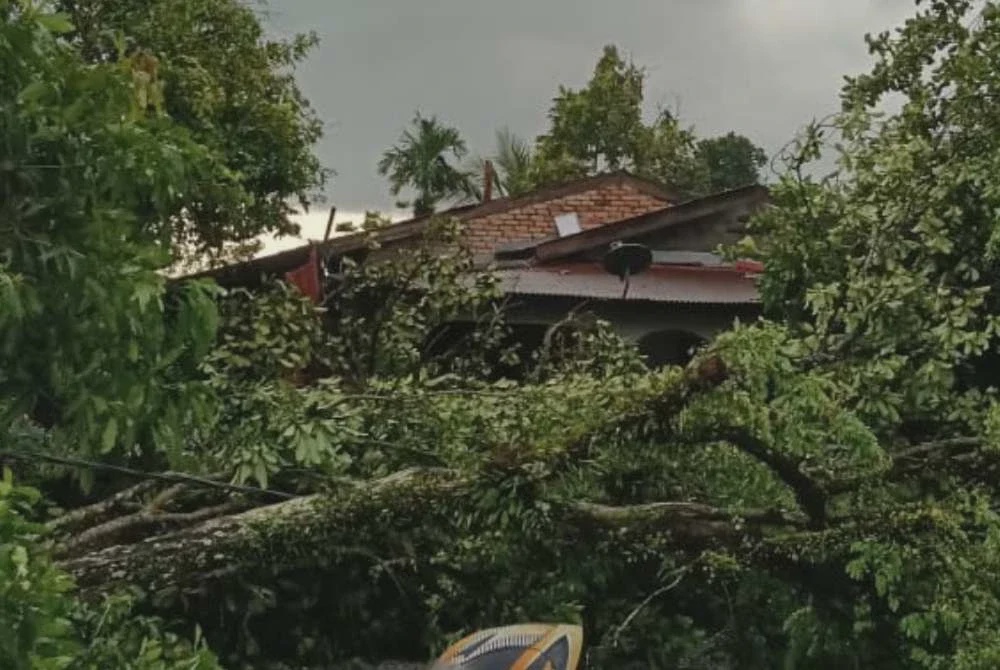 Image from: Tak sampai satu jam, 10 kes pokok tumbang akibat ribut kuat
