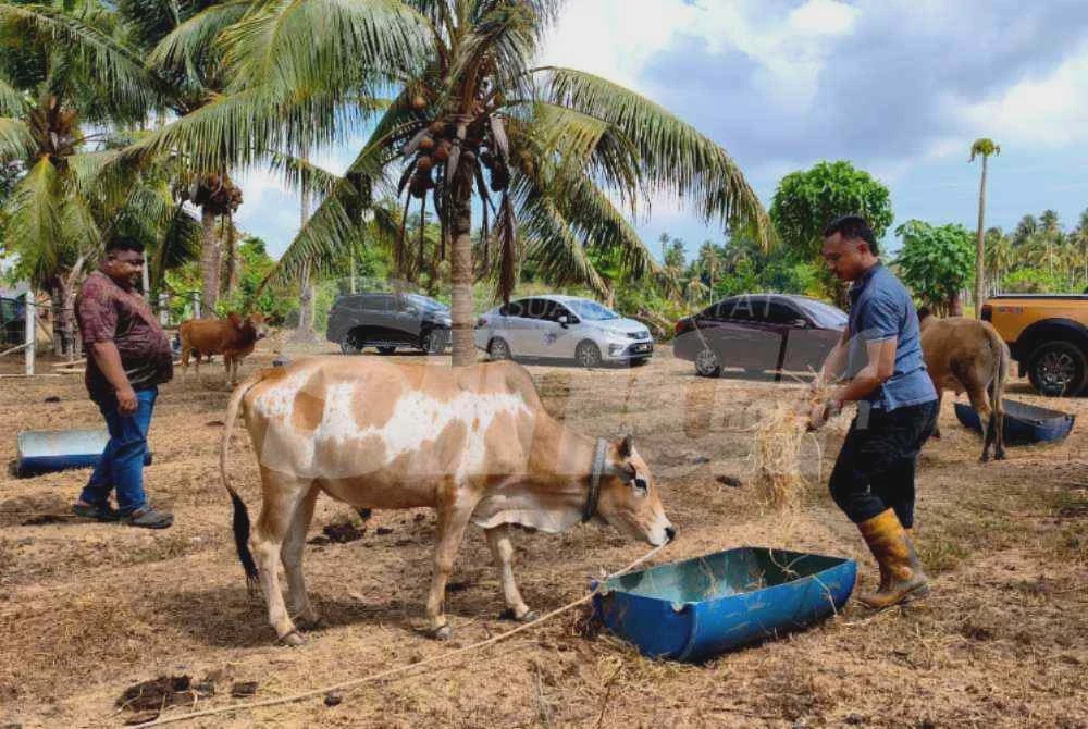 Image from: Bitara miliki kalimah ALLAH jadi rebutan 20 pembeli, tawaran harga cecah RM30,000