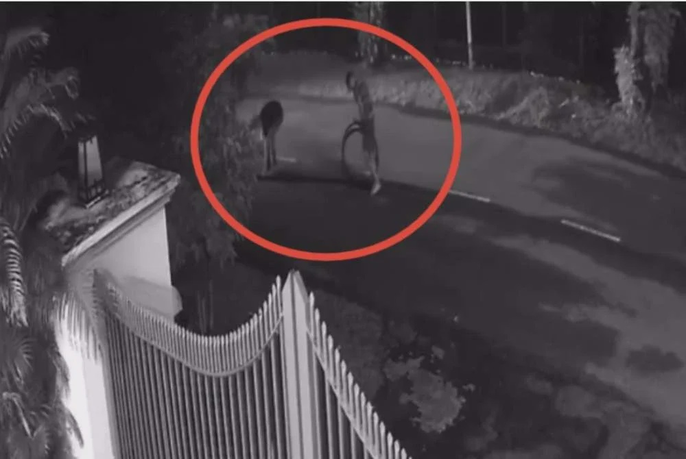 Image from: Geng curi kabel ada rekod jenayah, dadah kecundang