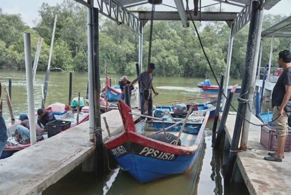 Image from: 'Banyak kerang mati, bangkai ikan terapung'
