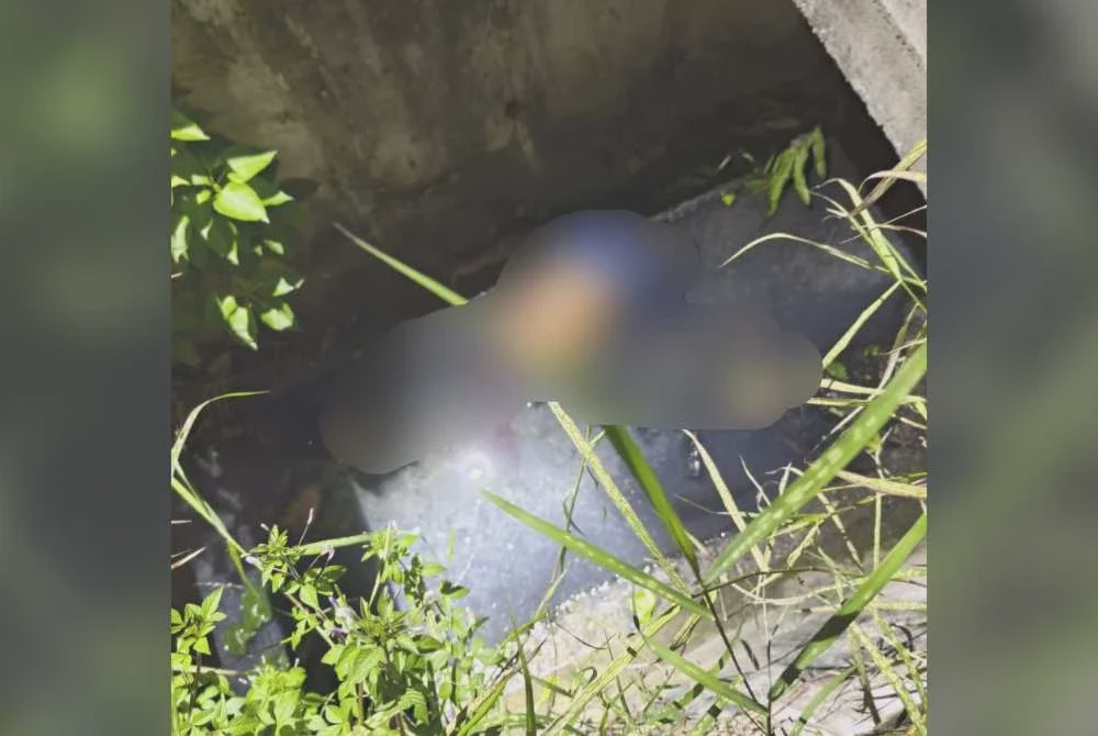Image from: Lelaki maut tercampak dalam longkang