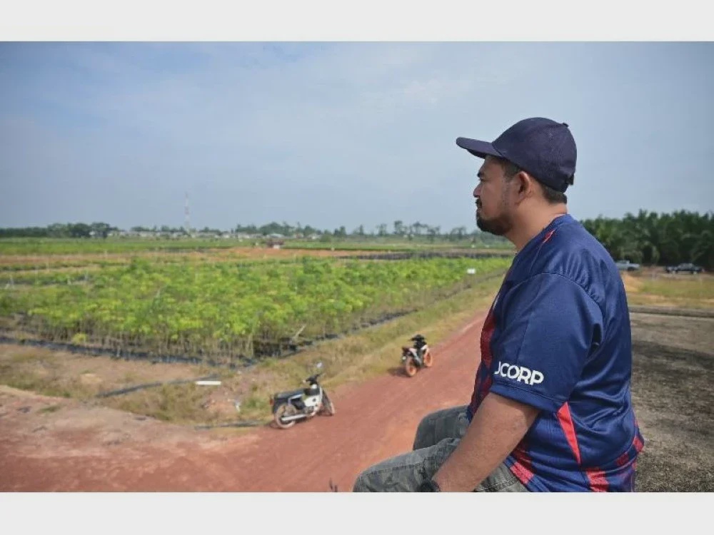 Image from: Perkukuh ekosistem getah, sasar kemakmuran pekebun kecil