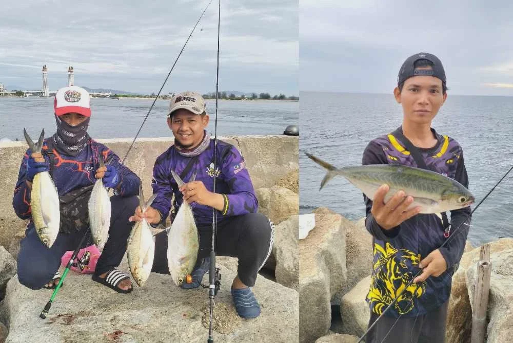 Image from: Musim ikan selar papan 'jinak', jadi lubuk rezeki kaki pancing