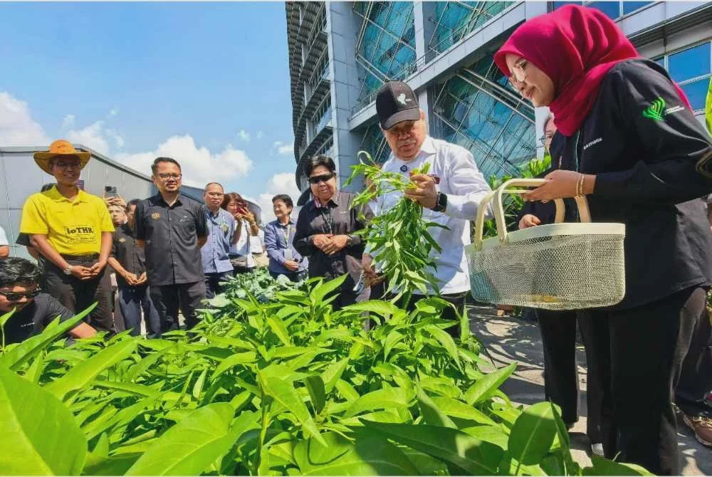 Image from: Tiada kenaikan mendadak harga sayur, situasi terus dipantau - Mat Sabu