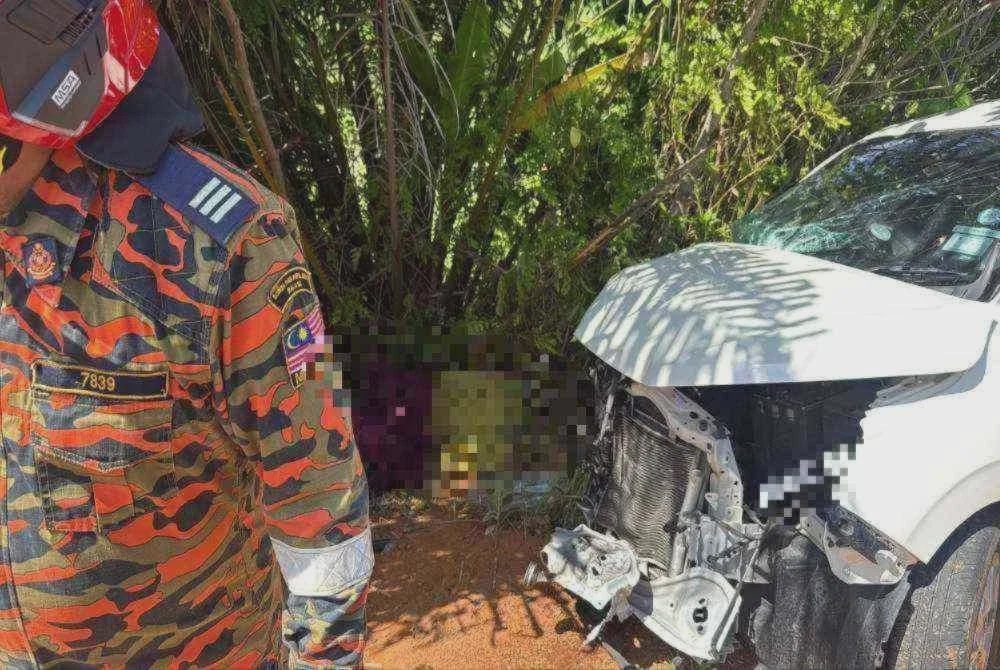 Image from: Lelaki maut tercampak keluar kereta, tersangkut di dahan kelapa sawit
