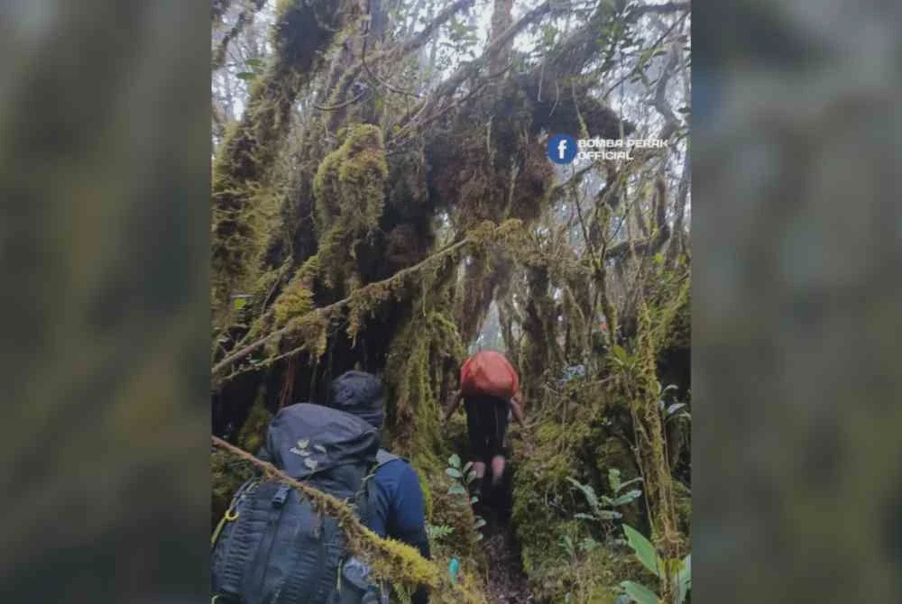 Image from: 15 hari hilang: Tiada petunjuk baharu, penemuan barang di lokasi bukan milik Jaslinda