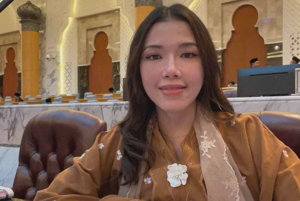 Image from: Marina gesa siasatan khas isu Rohingya