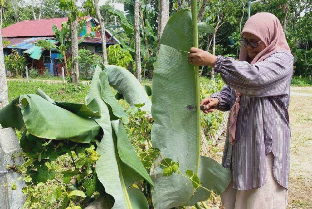 Image from: Makan bubur asyura guna tempurung, daun nanas