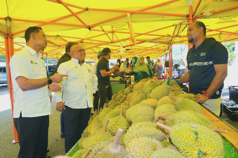 Image from: FAMA aktif pelan intervensi tangani ‘Tsunami Musang King’