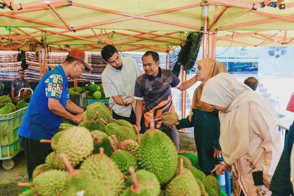 Image from: FAMA aktif pelan intervensi tangani ‘Tsunami Musang King’