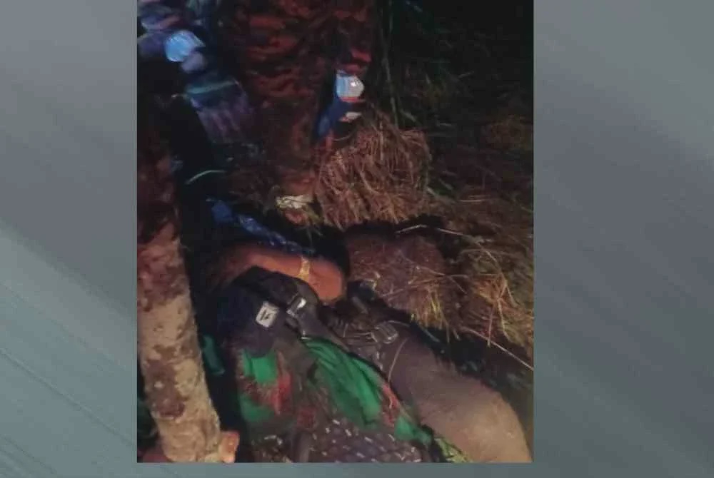 Image from: 'Dengar suara minta tolong' - Pendaki hilang tiga hari jatuh gaung di Gunung Jerai