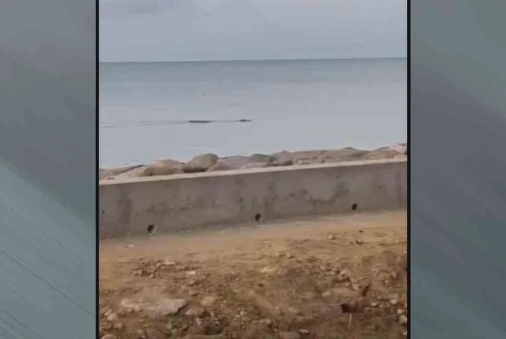 Image from: Lagi serangan buaya, lelaki dibaham ketika ambil pukat