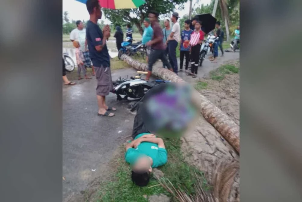 Image from: Calon SPM maut, rakan cedera, motosikal dihempap pokok kelapa