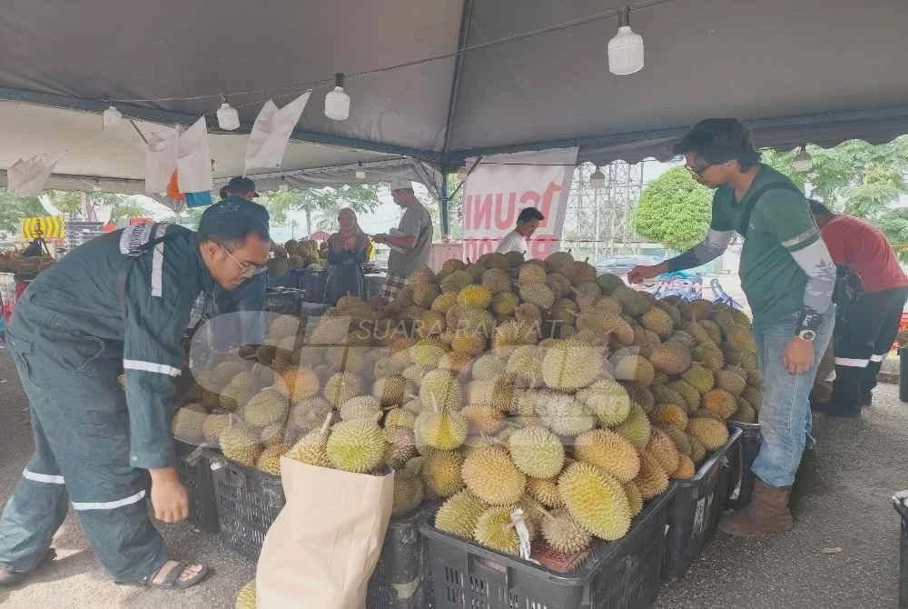 Image from: 'Isi durian selagi muat, seguni RM100'