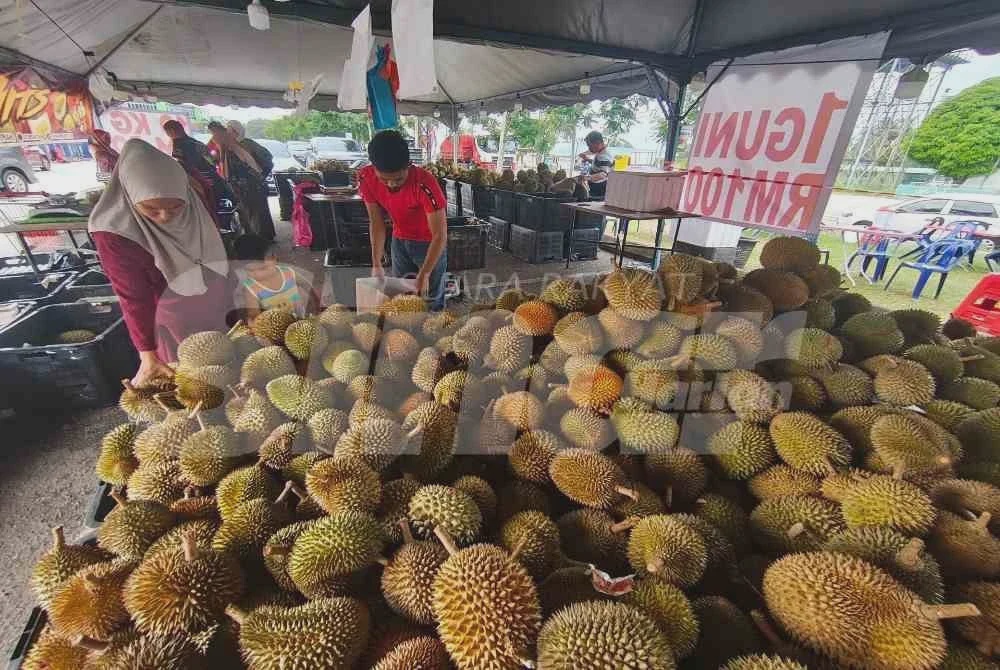 Image from: 'Isi durian selagi muat, seguni RM100'