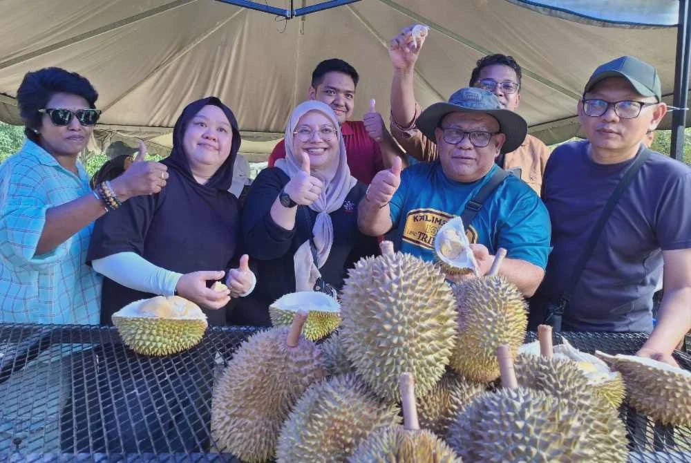 Image from: Durian premium MARDI terus jadi pilihan