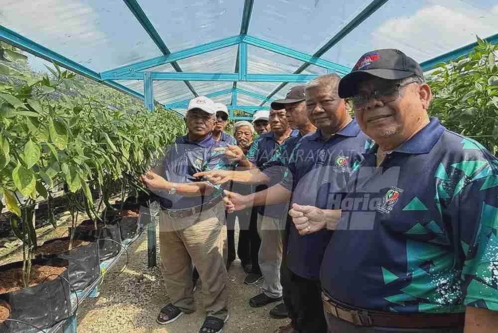 Image from: [VIDEO] Bekas tapak longgokan sampah kini jana hasil cili fertigasi