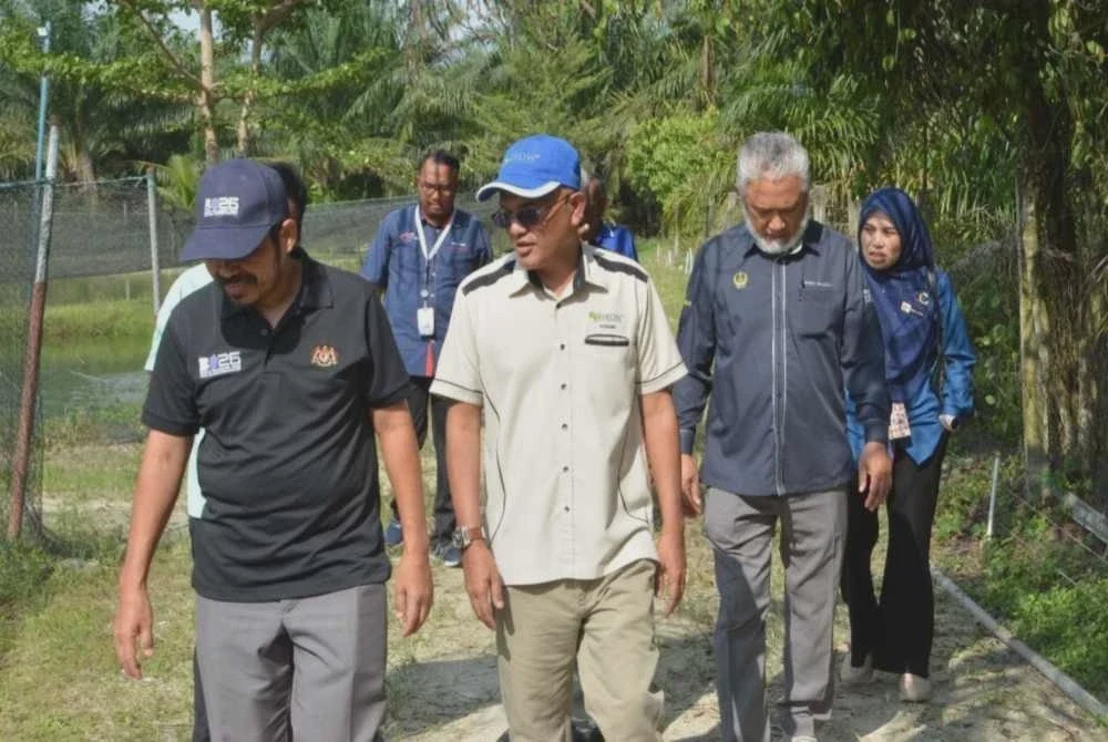 Image from: Keterjaminan makanan: Jangan selesa dengan data DOSM