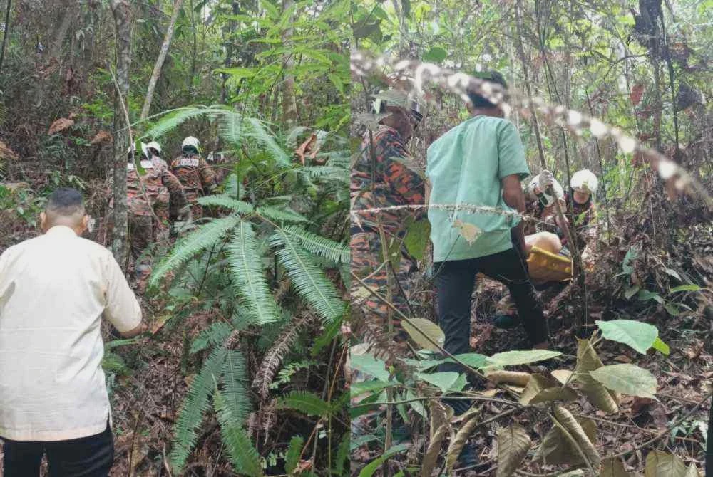 Image from: Lelaki terjatuh dari ketinggian 30 meter ketika mandi air terjun