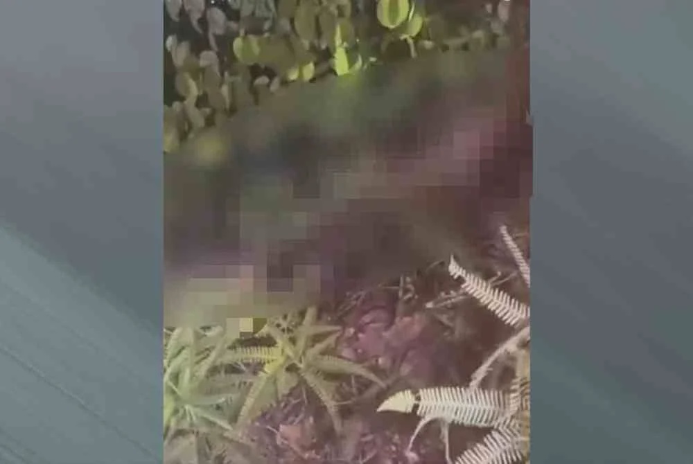 Image from: Budak perempuan mati dibunuh: Polis tahan dua lelaki