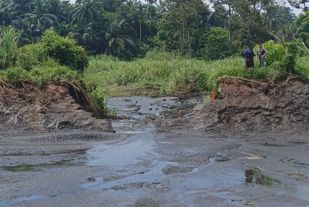 Image from: Nelayan hilang pendapatan RM200 sehari akibat pencemaran Sungai Sepetang