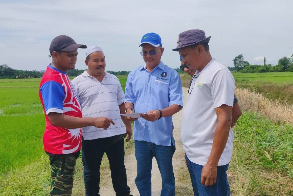 Image from: Cuaca panas melampau jejas 15,000 hektar tanaman padi