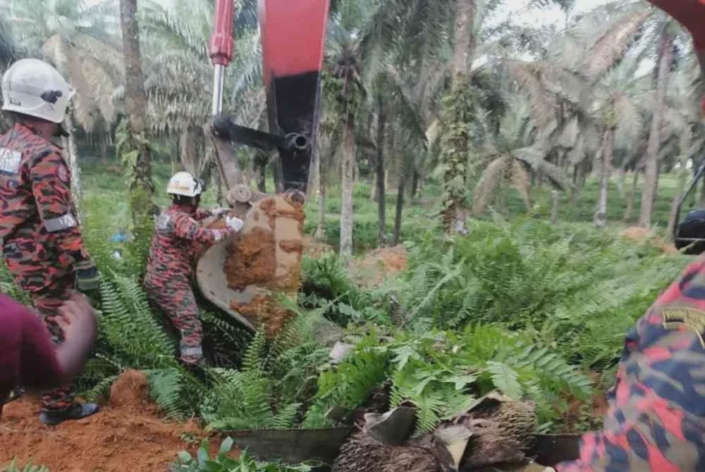 Image from: Wanita maut dihempap pokok tumbang