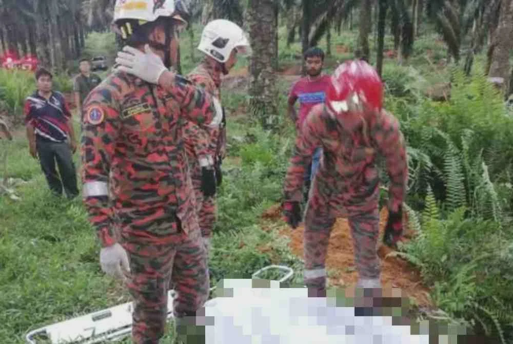 Image from: Wanita maut dihempap pokok tumbang