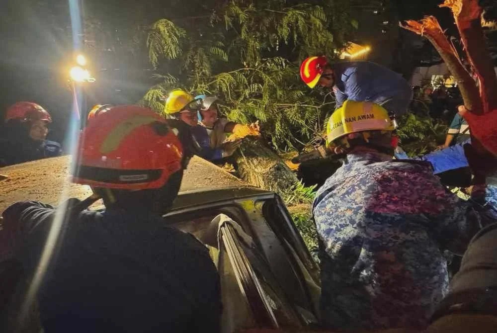 Image from: Lelaki maut dihempap pokok tumbang, tujuh sekeluarga terima rawatan di hospital