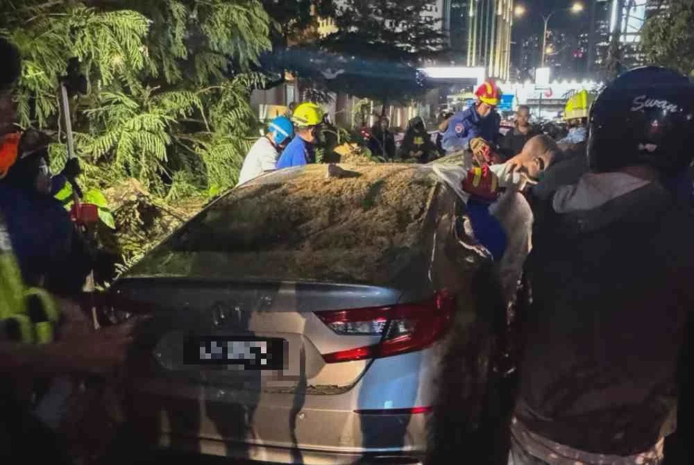 Image from: Lelaki maut dihempap pokok tumbang, tujuh sekeluarga terima rawatan di hospital