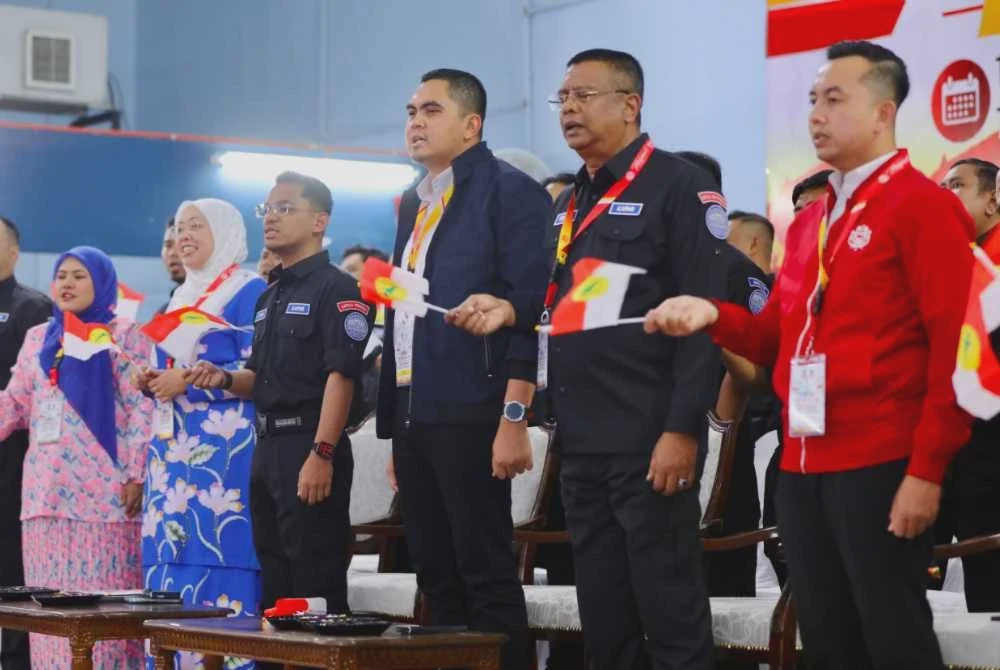 Image from: Formula kerjasama BN-PN perlu diperluas ke Selangor - Pemuda UMNO Kapar