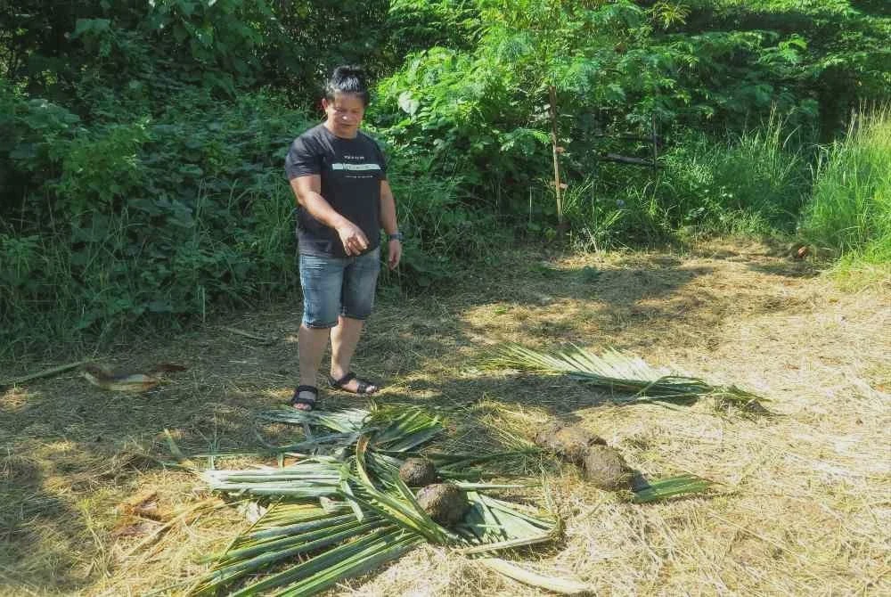 Image from: Penduduk cemas, gajah masuk kawasan perumahan