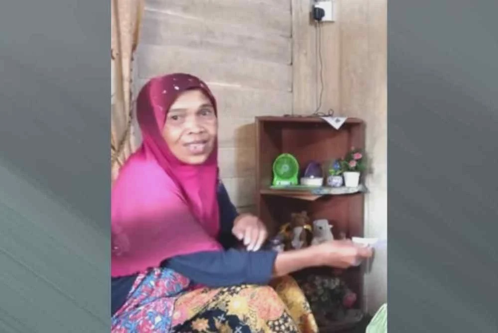 Image from: 'Adik hilang selepas dakwa dengar bunyi pelik dalam rumah' - Abang Rosnani