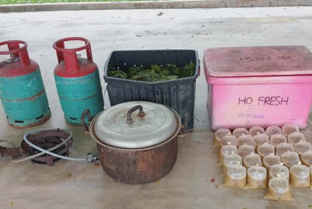 Image from: Kebun keluarga jadi sumber bekalan daun ketum