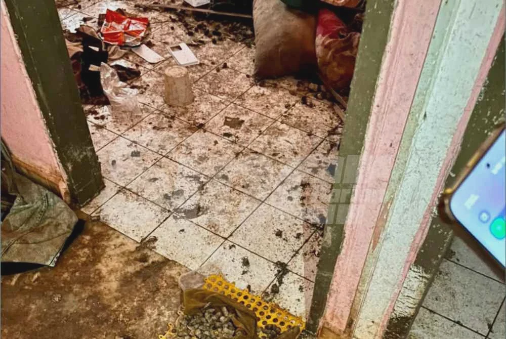 Image from: 'Penyewa dari neraka' - Pintu bilik diroboh, rumah dipenuhi tahi kucing dan sampah sarap