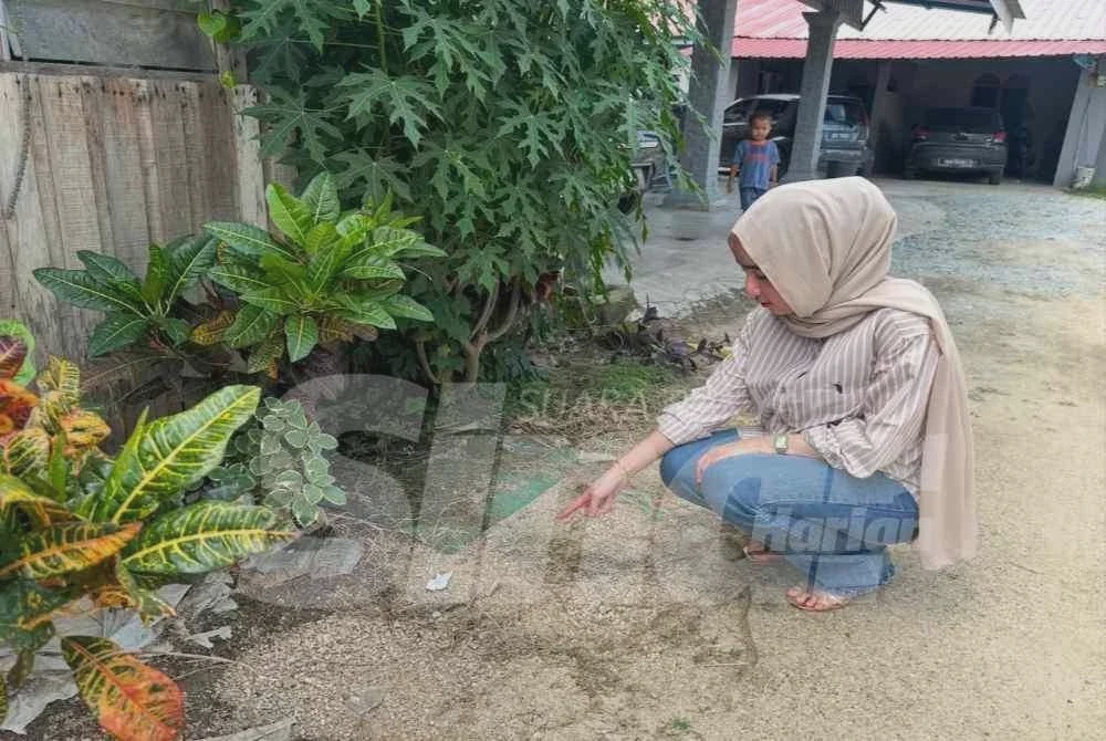 Image from: 'Saya fikir kami semua akan mati' - Tujuh sekeluarga diserang lelaki bertopeng  'bersenjatakan' mercun 49 das
