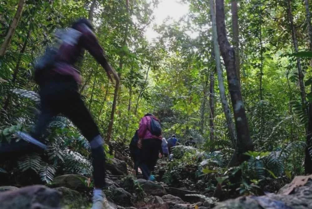 Image from: Tiga juruukur sesat di hutan, gagal temui jalan keluar