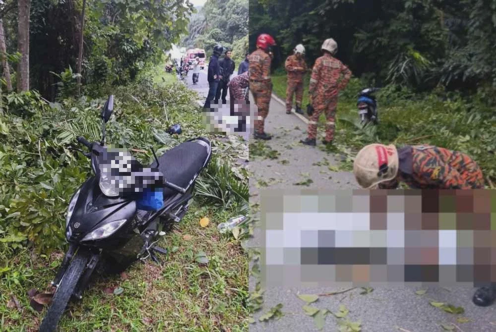 Image from: Warga emas maut, pelajar cedera langgar pokok tumbang