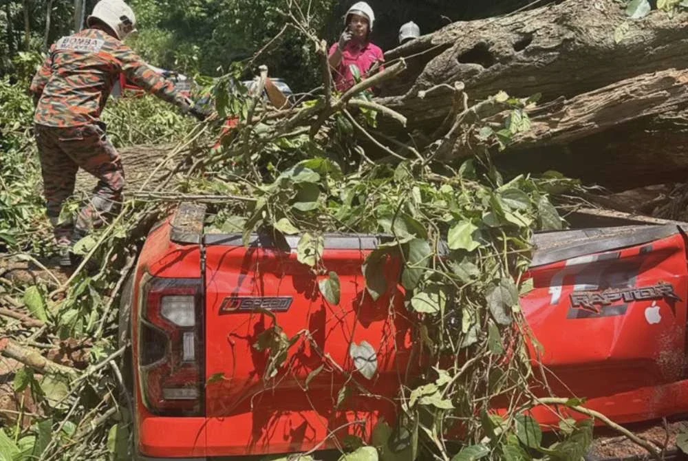 Image from: Empat maut, seorang kanak-kanak cedera kenderaan dinaiki dihempap pokok