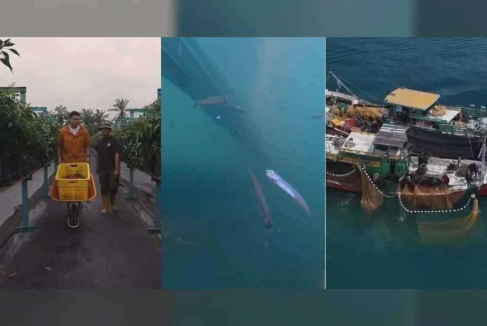 Image from: Khairul Aming bakal lancar Sambal Nyet Bilis, sanggup turun ke laut demi hasil terbaik